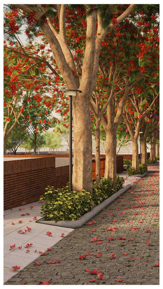 Tree walkway
